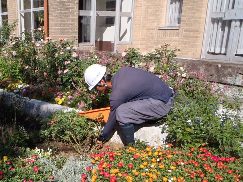 こだわり1*お庭の専門業者であること