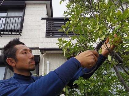 庭園管理の参考価格