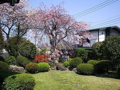 庭園管理の参考価格